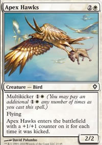 Apex Hawks - 