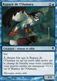 Rapace de l'Oumara - 